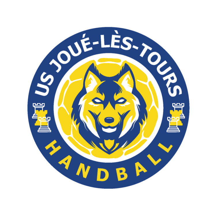 🤾‍♀️Bilan sportif de mi-saison 🤾‍♂️